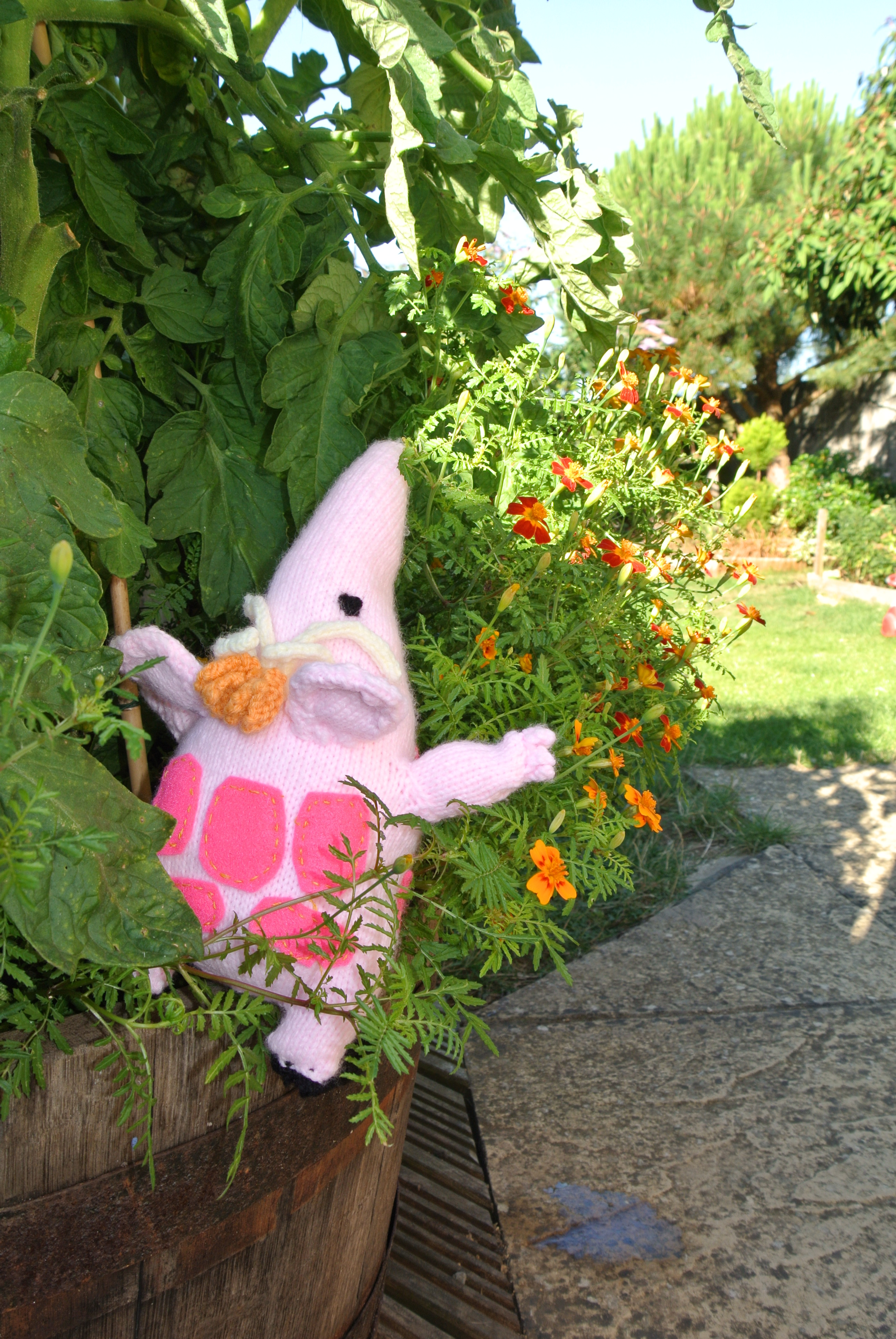 Joolz's Clanger